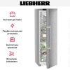 Холодильник Liebherr RBsdd 5250