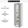 Холодильник Liebherr RBsfc 5220