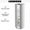 Холодильник Liebherr RBsfd 5221