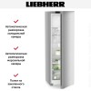 Холодильник Liebherr RBsfd 5221