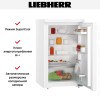 Холодильник Liebherr Rd 1200