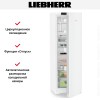 Холодильник Liebherr Rd 5220