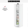 Холодильник Liebherr Rd 5220