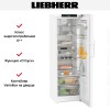 Холодильник Liebherr Rd 5250