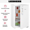 Холодильник Liebherr Re 1400