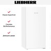 Холодильник Liebherr Rf 4200 Pure