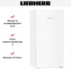 Холодильник Liebherr Rf 4200 Pure