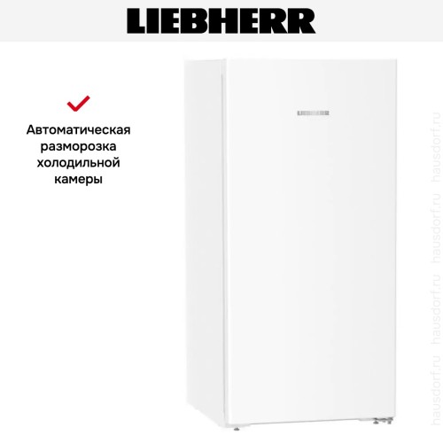 Холодильник Liebherr Rf 4200 Pure