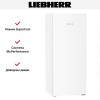 Холодильник Liebherr Rf 4600 Pure