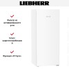 Холодильник Liebherr Rf 4600 Pure