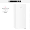 Холодильник Liebherr Rf 4600 Pure