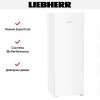 Холодильник Liebherr Rf 5000 Pure