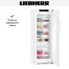 Морозильная камера Liebherr GN 3735 Comfort NoFrost
