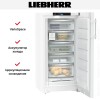 Морозильник Liebherr FNc 667i Peak