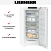Морозильник Liebherr FNd 6625