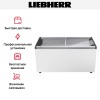Морозильный ларь Liebherr EFI 4403