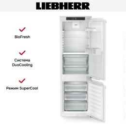 Встраиваемый холодильник Liebherr ICBNdi 5123