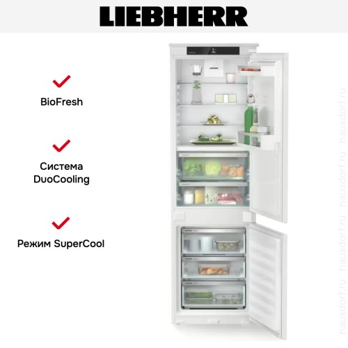 Встраиваемый холодильник Liebherr ICBNSd 5123