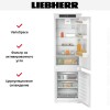 Встраиваемый холодильник Liebherr ICf 5103