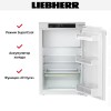 Встраиваемый холодильник Liebherr IRe 3901