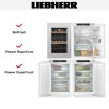 Встраиваемый холодильник Liebherr IXRFWB 3960