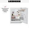 Встраиваемый холодильник Liebherr URc 3700