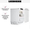 Встраиваемый холодильник Liebherr URPd 365i Prime
