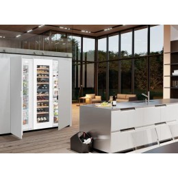 Встраиваемый холодильник Side-by-Side Liebherr SBSWgw 99I5 BioFresh NoFrost
