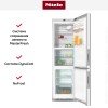 Холодильно-морозильная комбинация Miele KFN 29283 D bb