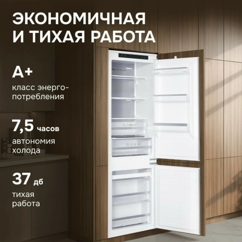 Встраиваемый холодильник Zigmund Shtain BR 23 X купить в Москве и Санкт-Петербурге