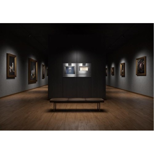 Вакуумный упаковщик Gaggenau DV461110