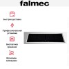 Варочная панель с вытяжкой FALMEC INDUCTION HOB INOX (880)
