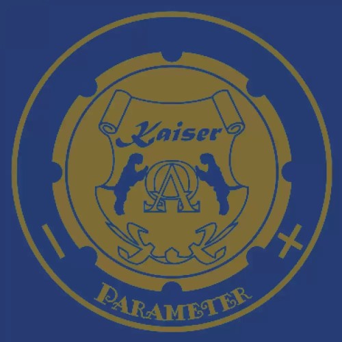 Индукционная варочная поверхность Kaiser KCT 6723 FI BluBE