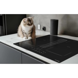 Индукционная варочная панель Zigmund Shtain CIS 303.60 BX с вытяжкой