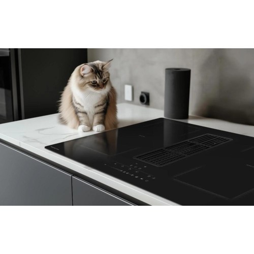 Индукционная варочная панель Zigmund Shtain CIS 311.75 BX с вытяжкой