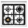 Варочный центр Bertazzoni PRO64L1ENET2 купить в Москве и Санкт-Петербурге