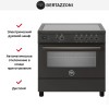 Варочный центр Bertazzoni PRO95I1ECAT