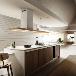 Вытяжка Elica Био Остров Белый и Дуб с аспирацией 120х53 (Bio Island WH/A/120X53 Rovere)