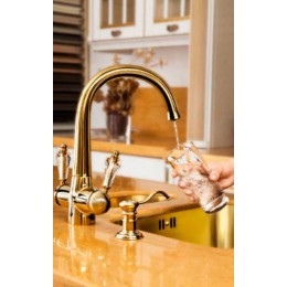 Дозатор Omoikiri OM-01 G