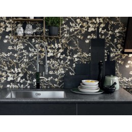 Мойка Franke BXX 210-68 сталь