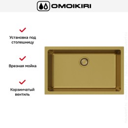 Мойка Omoikiri OKINOSHIMA 76-U/I G-MATT