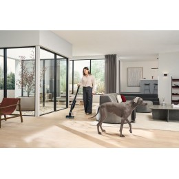 Пылесос Miele SWDL0 Triflex HX3 Вода плюс черный обсидиан (Plus Aqua)