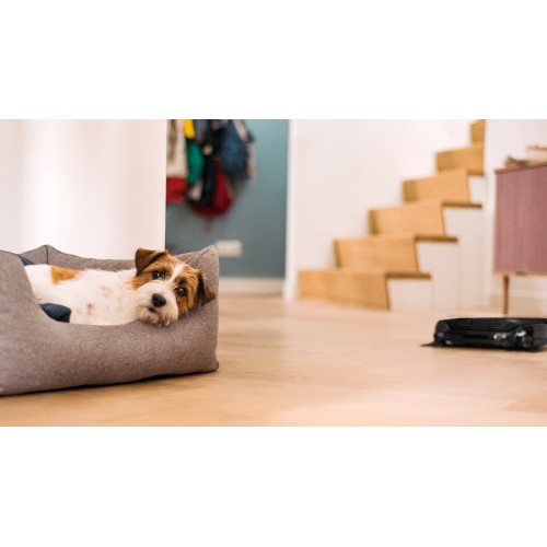 Робот-пылесос Miele Scout RX3 OBSW