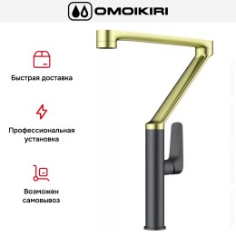 Смеситель Omoikiri TARA LG-GM