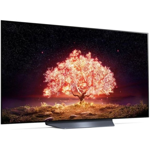 Телевизор LG OLED55B1RLA купить в Москве и Санкт-Петербурге
