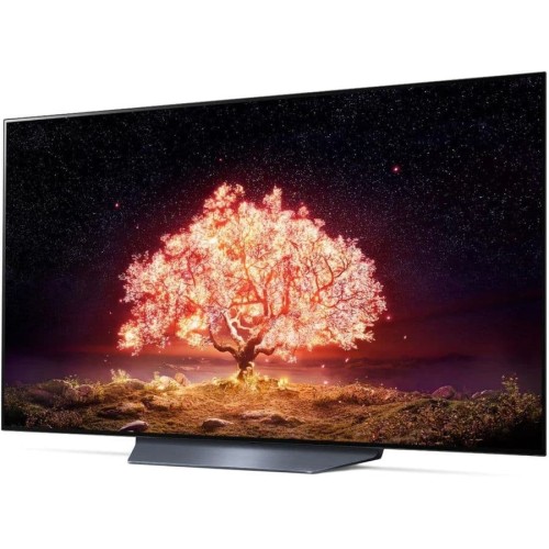 Телевизор LG OLED55B1RLA купить в Москве и Санкт-Петербурге