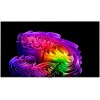 Телевизор LG OLED83G6RLA купить в Москве и Санкт-Петербурге