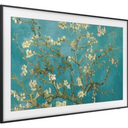 Телевизор Samsung QE55LS03BAU