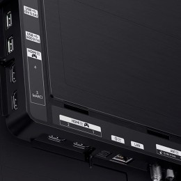 Телевизор Samsung QE65S90CAU