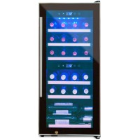 Винный шкаф Cold Vine C24-KBF2